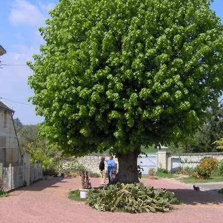 Les Roulottes De Cuzay Roiffé
