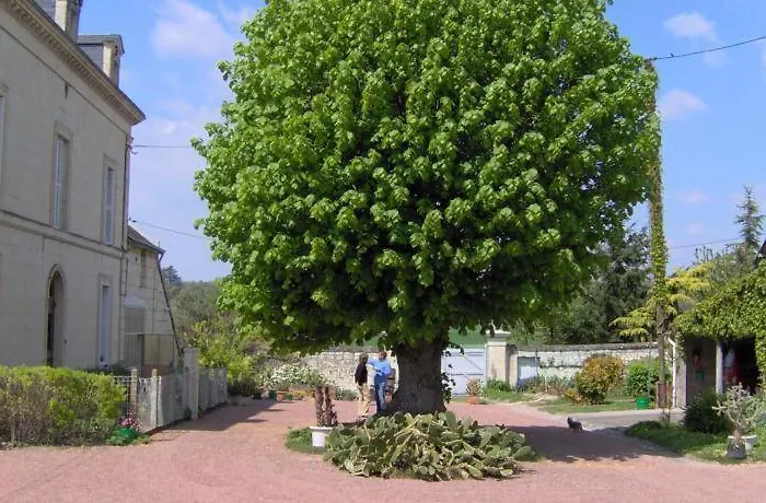 Les Roulottes De Cuzay Roiffé